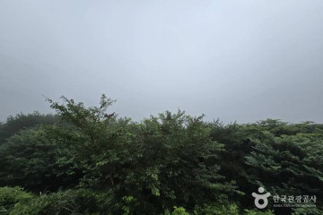 서귀포자연휴양림 여행 추천 - 메고지고