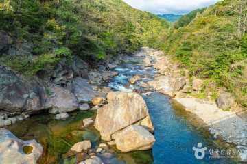 하동 별천지 생태마을 여행 추천 - 메고지고