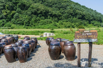 백학자유로리조트 여행 추천 - 메고지고