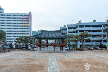 안동시장 찜닭골목 여행 추천 - 메고지고