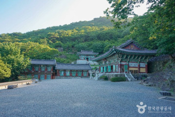 대청계곡대나무숲 여행 추천 - 메고지고