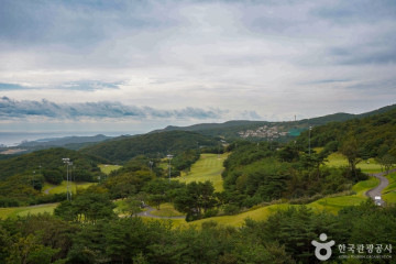 경주 산에들레마을 여행 추천 - 메고지고