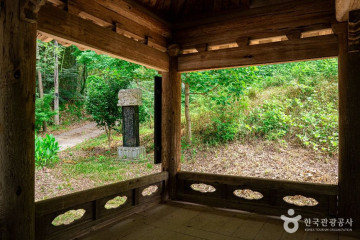 하비스트랜드 여행 추천 - 메고지고