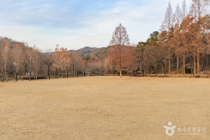 도음산산림문화수련장 여행 추천 - 메고지고