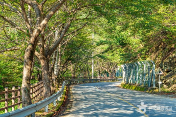 나본마을 여행 추천 - 메고지고