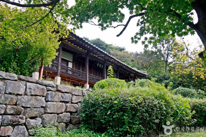 유회당사당 여행 추천 - 메고지고
