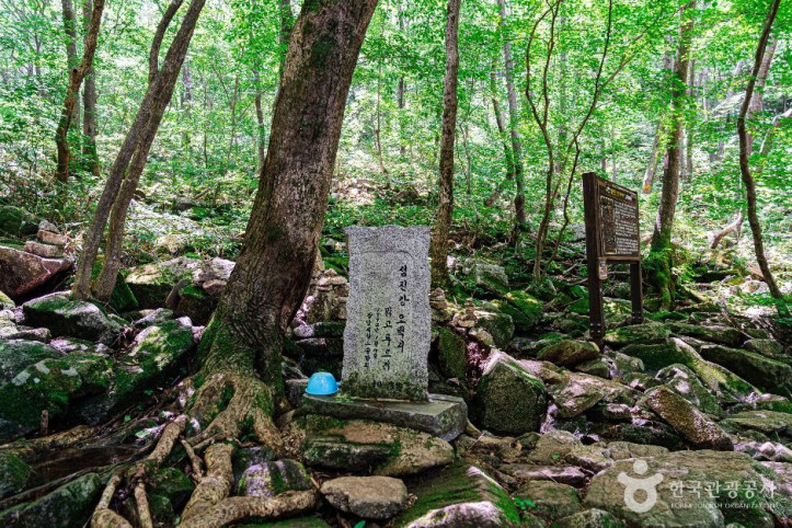 데미샘 여행 추천 - 메고지고