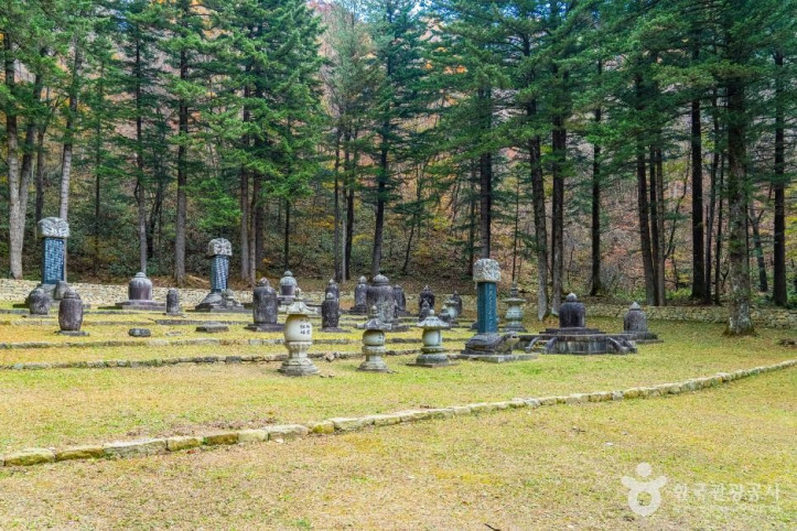 월정사부도군 여행 추천 - 메고지고
