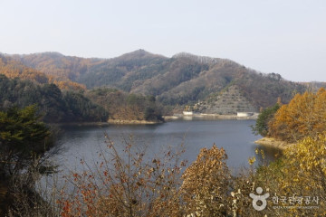 국립 복주산자연휴양림 여행 추천 - 메고지고