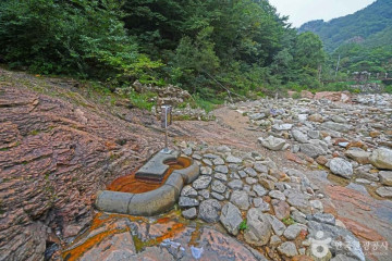 점봉산 곰배령 여행 추천 - 메고지고