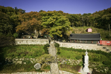 거북이마을 여행 추천 - 메고지고