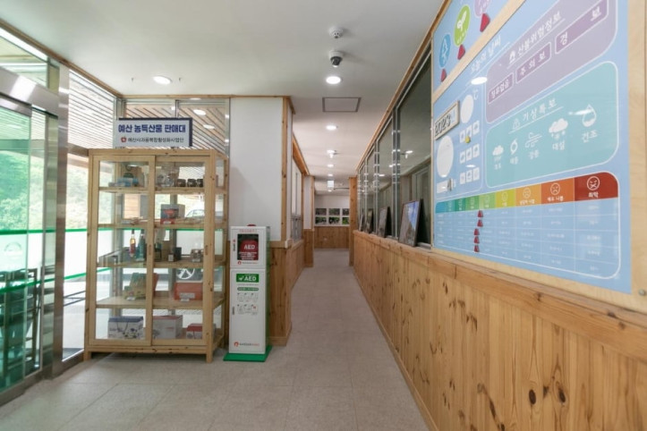 국립예산치유의숲 여행 추천 - 메고지고