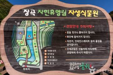 압곡사(군위) 여행 추천 - 메고지고
