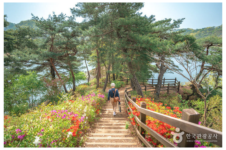부소담악(추소정) 여행 추천 - 메고지고