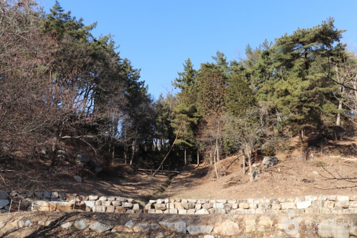 입화산자연휴양림 여행 추천 - 메고지고