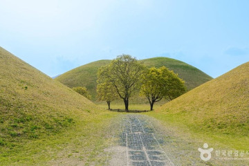 경주 쌈밥거리 여행 추천 - 메고지고