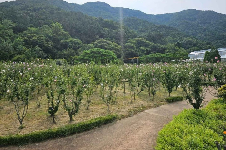 고산문화공원 여행 추천 - 메고지고