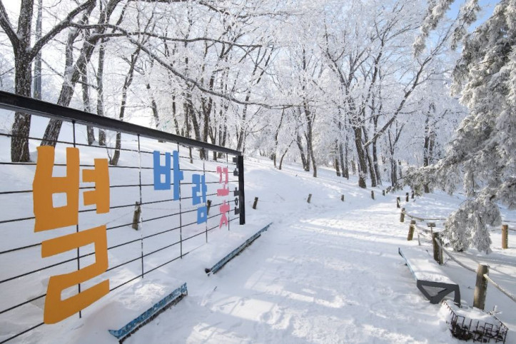 만항재 여행 추천 - 메고지고