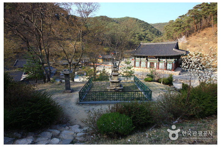 고운사(의성) 여행 추천 - 메고지고