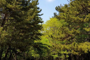 팔용산 돌탑 여행 추천 - 메고지고