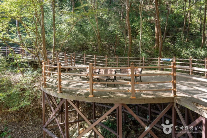 장성호 수변길 여행 추천 - 메고지고