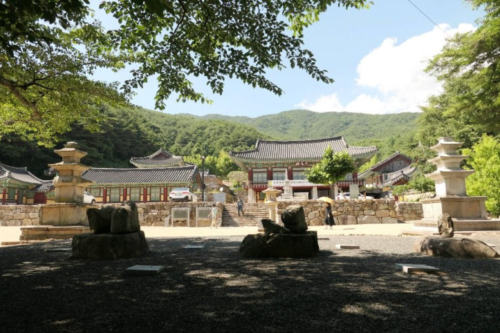 부인사(대구) 여행 추천 - 메고지고