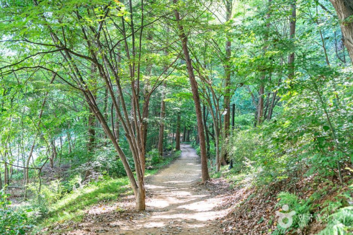 정발산공원 여행 추천 - 메고지고