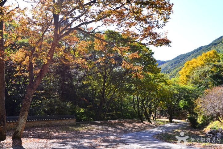 정혜사(순천) 여행 추천 - 메고지고