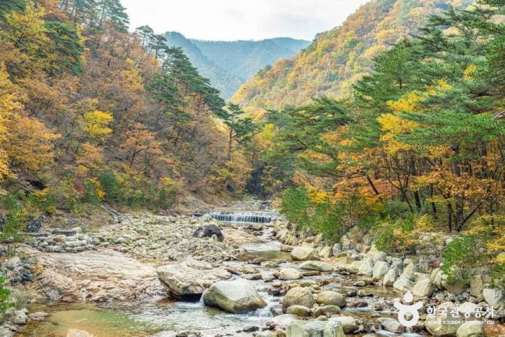 설악산 오색주전골 여행 추천 - 메고지고
