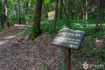 홍승인고가 여행 추천 - 메고지고
