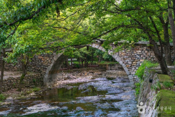 영취산(여수) 여행 추천 - 메고지고