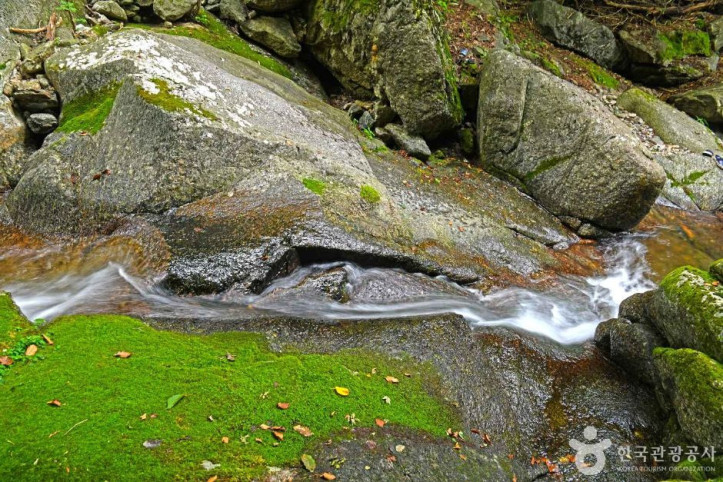 지지계곡 여행 추천 - 메고지고