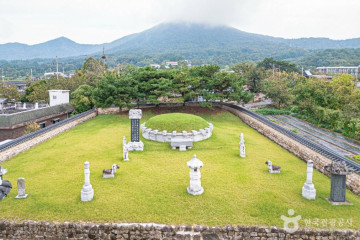 주식회사조아지구 여행 추천 - 메고지고
