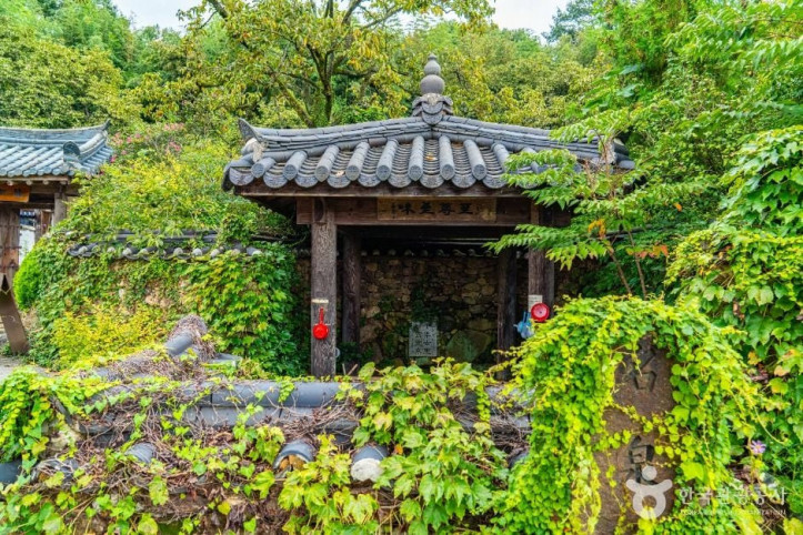 당몰샘 여행 추천 - 메고지고
