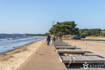 마검포항 여행 추천 - 메고지고