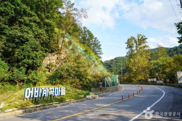 초롱이둥지마을 여행 추천 - 메고지고