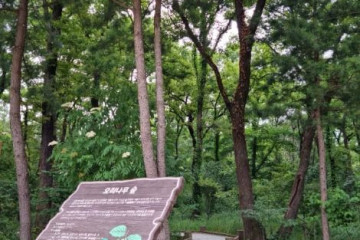 서울 헌릉(태종·원경왕후)과 인릉(순조·순원황후) [유네스코 세계유산] 여행 추천 - 메고지고