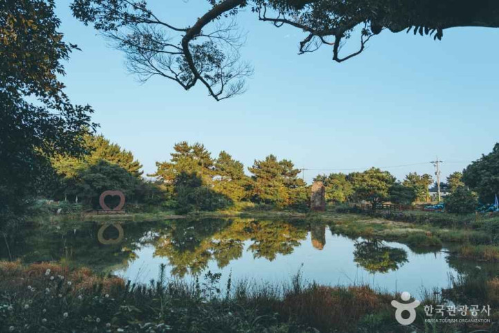 혼인지 여행 추천 - 메고지고