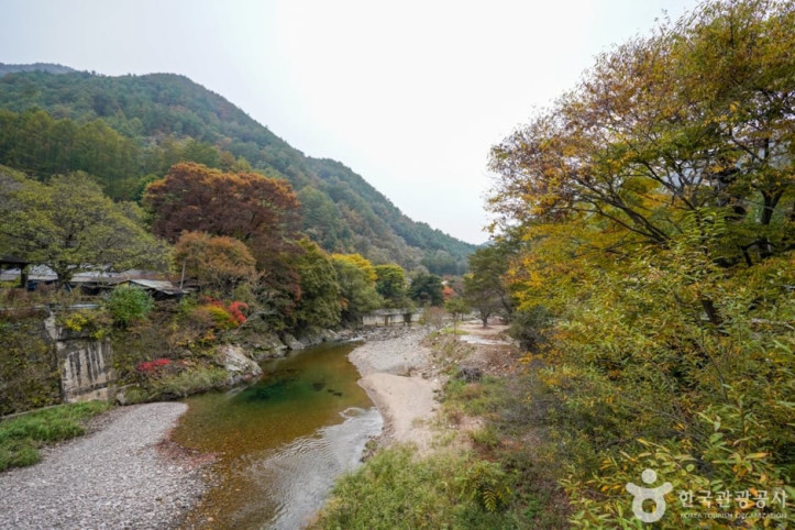 고선계곡(구마계곡) 여행 추천 - 메고지고