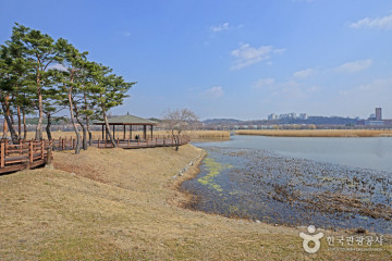 안산 다문화특구 여행 추천 - 메고지고