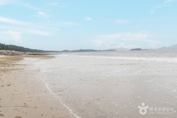 태평염생식물원 여행 추천 - 메고지고