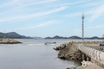 용호도 여행 추천 - 메고지고