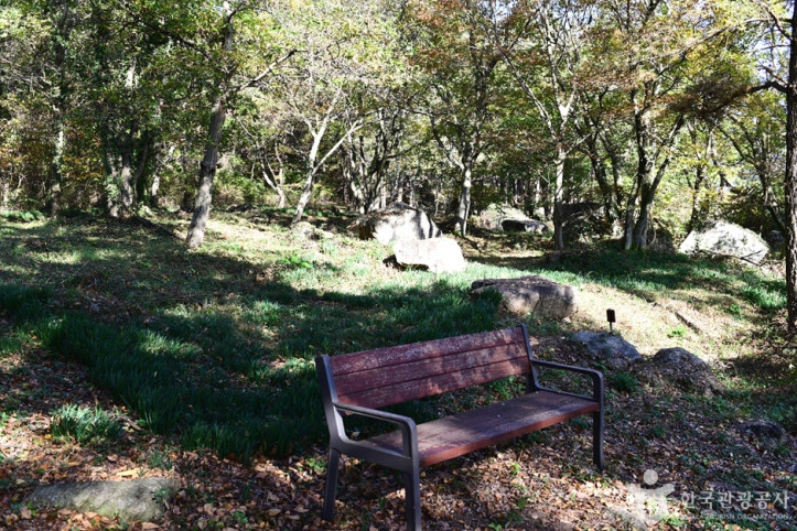 고산 여행 추천 - 메고지고