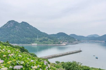 나로도항 여행 추천 - 메고지고