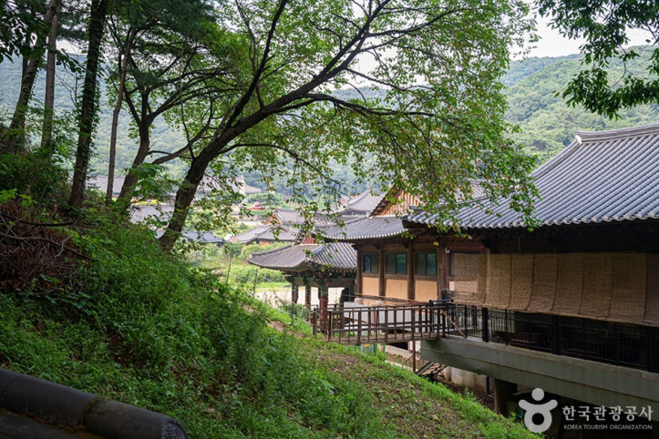 무봉산 여행 추천 - 메고지고