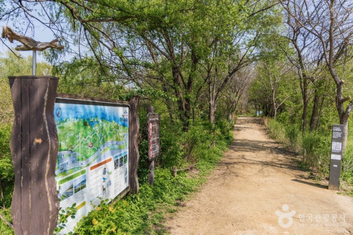 광나루한강공원 암사생태공원 여행 추천 - 메고지고