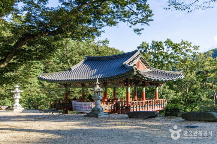 향천사(예산) 여행 추천 - 메고지고