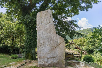 야미야미팜(야미야미팜농업회사법인(주)) 여행 추천 - 메고지고