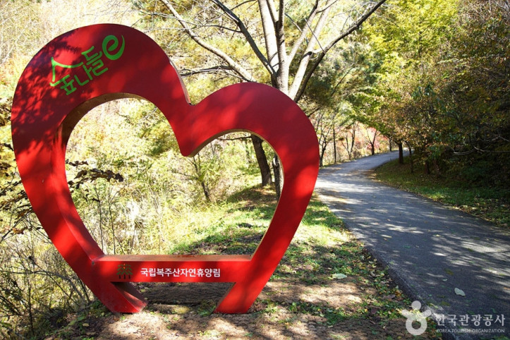국립 복주산자연휴양림 여행 추천 - 메고지고