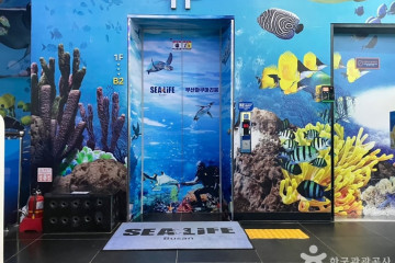 해운대 관광특구 여행 추천 - 메고지고